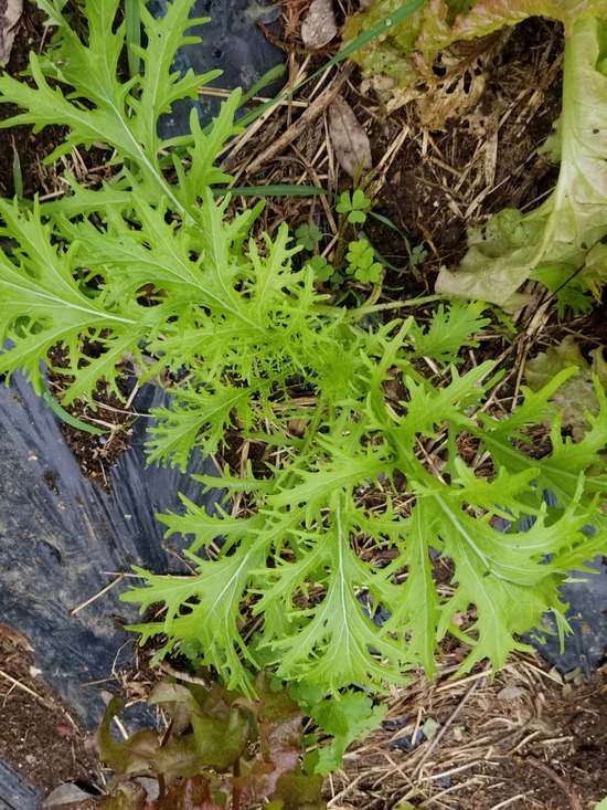 20191018_083555-1620x2160