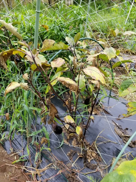 20190712_080330-1620x2160