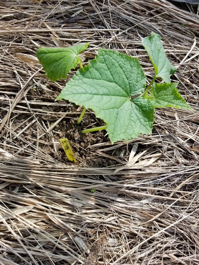 20200803_082300_copy_2268x3024