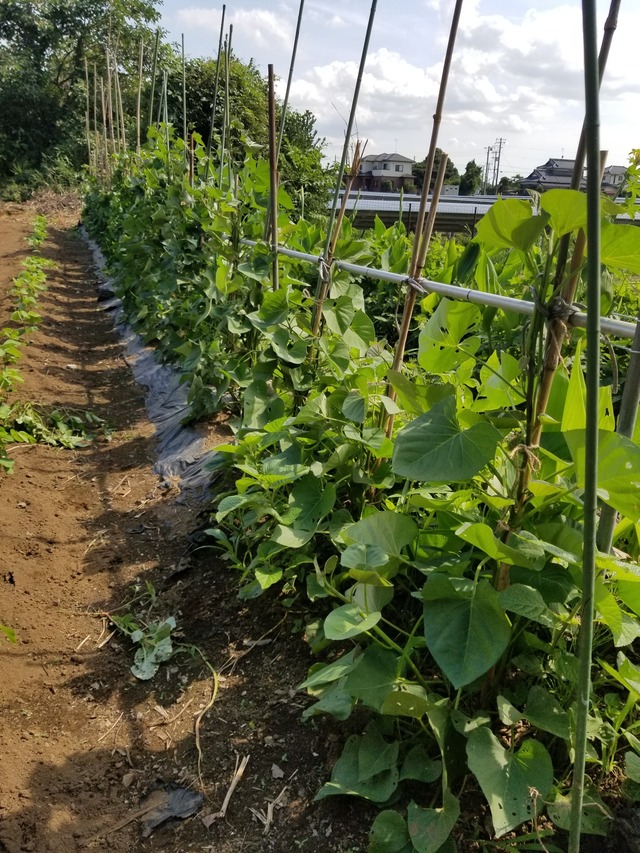 20220721_143614_copy_1512x2016