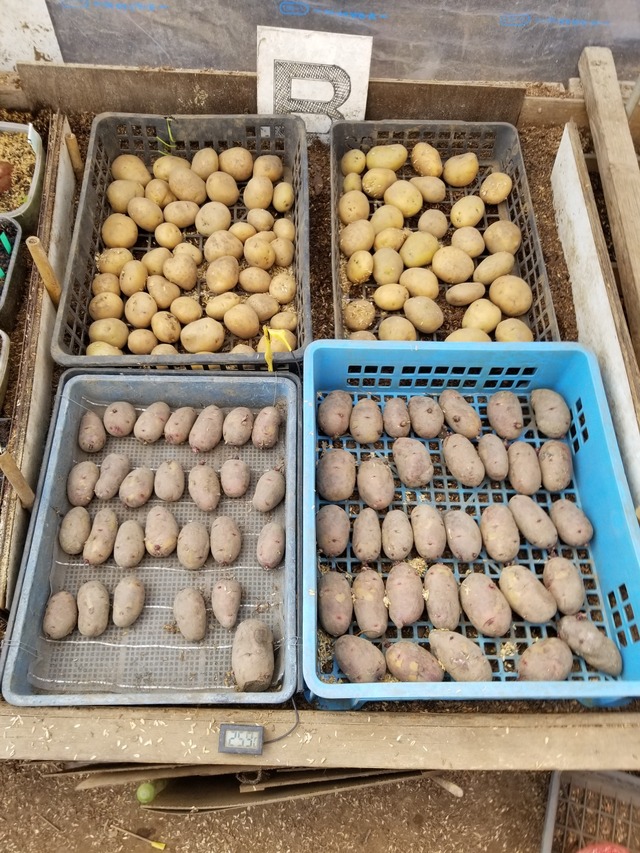 20230226_103342_copy_1512x2016