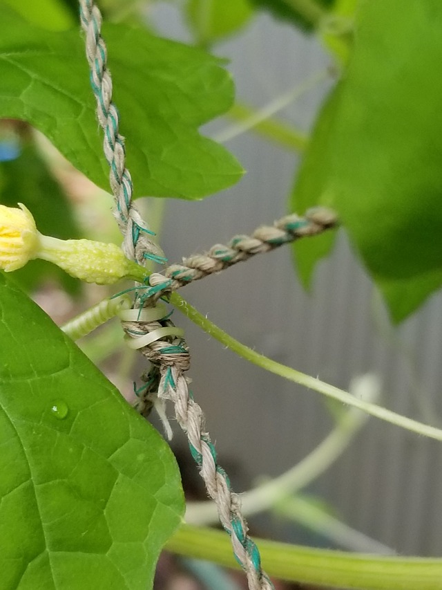 20220726_144849_copy_1512x2016