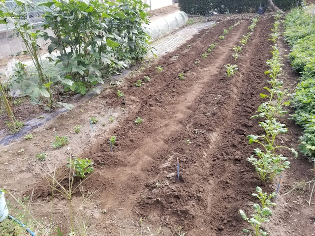 20210917_083443_copy_3024x2268