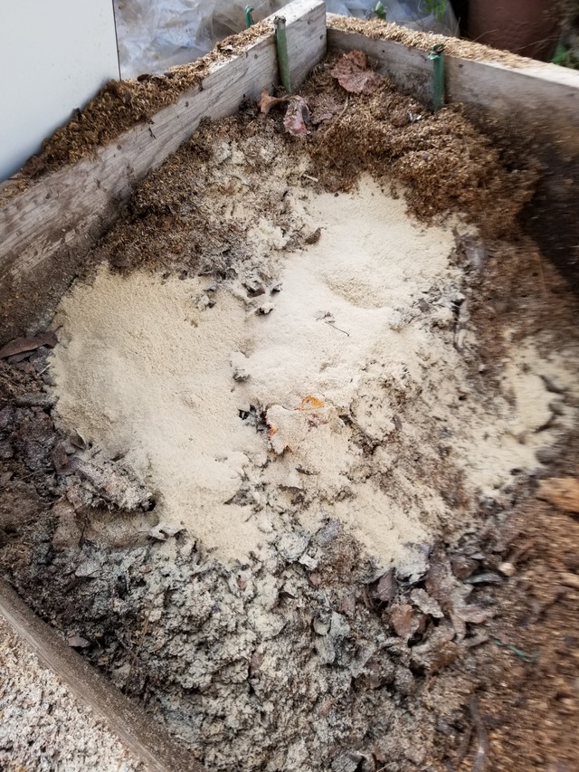 20201116_080725_copy_2268x3024