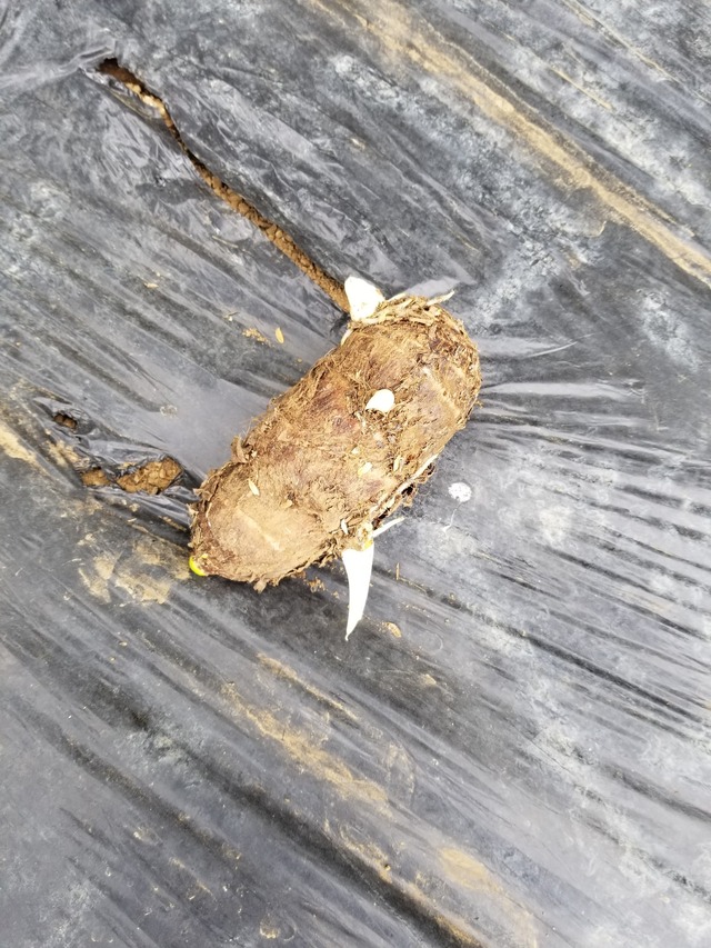 20230425_104657_copy_1512x2016