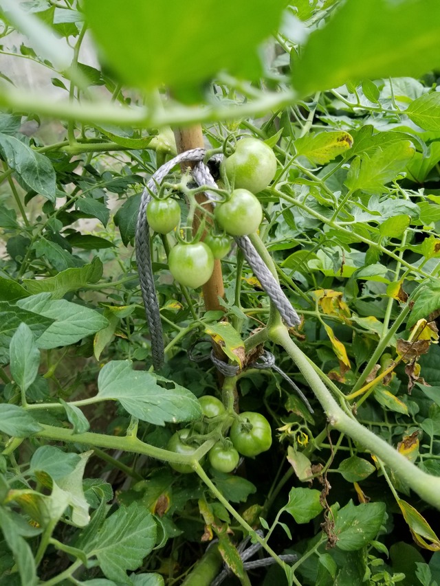 20210803_084141_copy_2268x3024