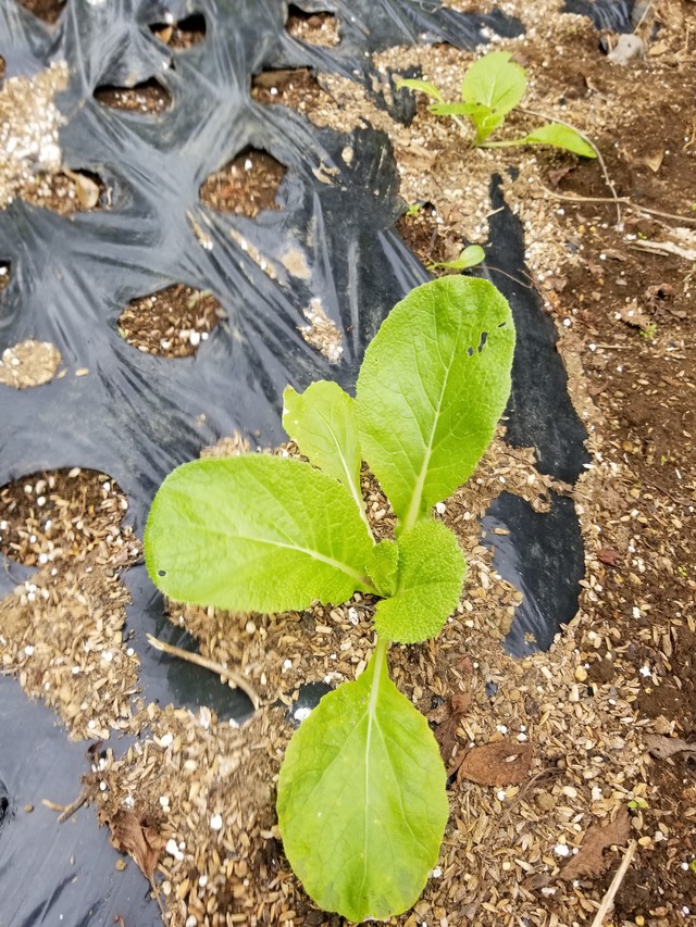 20211031_093728_copy_2268x3024