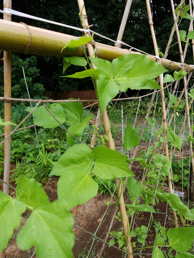 IMG_20230904_111458_copy_1512x2016