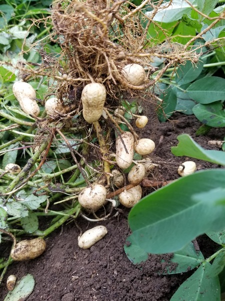 20190822_084730-1620x2160