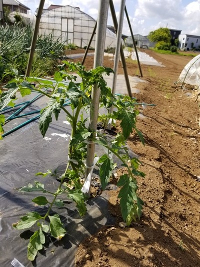 20190517_082903-1620x2160