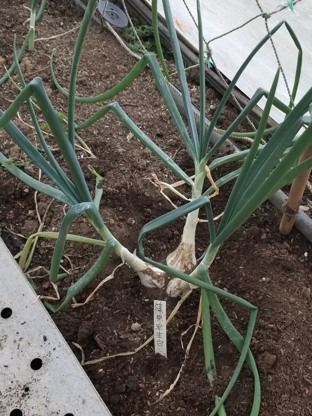 20230110_084408_copy_1512x2016