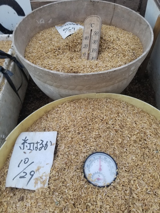 20240112_102311_copy_1512x2016