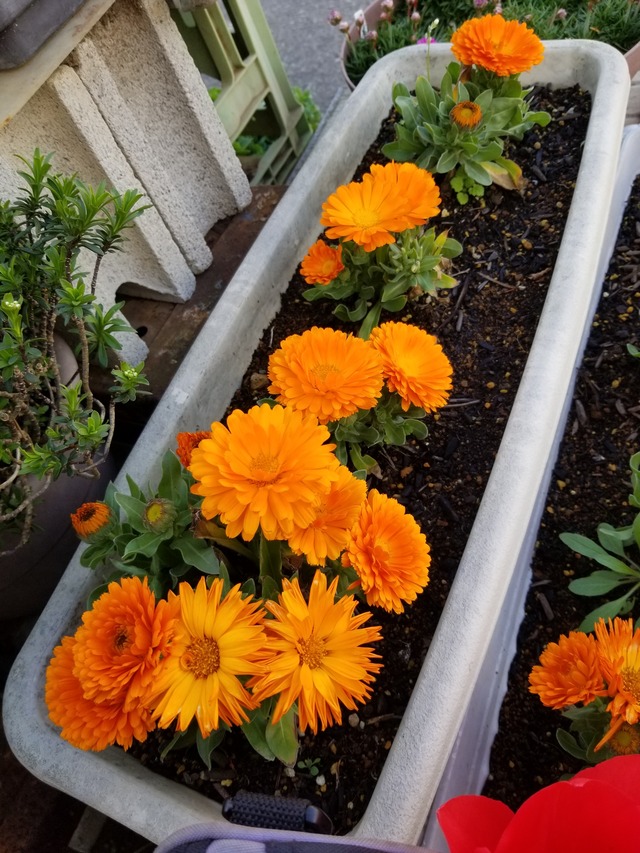 20240407_153038_copy_2268x3024