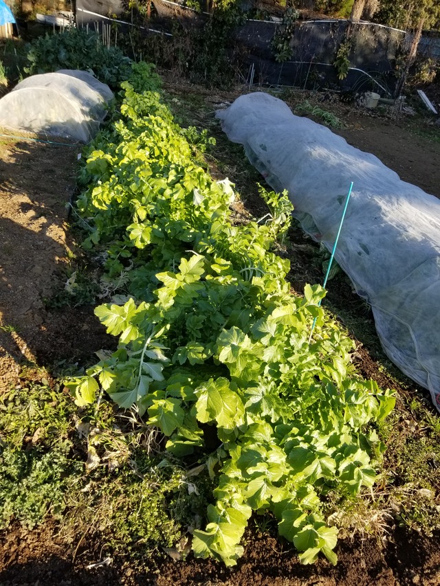 20211223_081811_copy_2268x3024