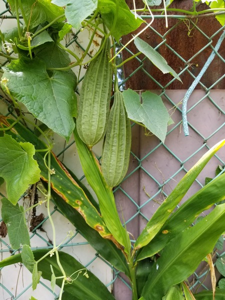 20190813_105854-1620x2160