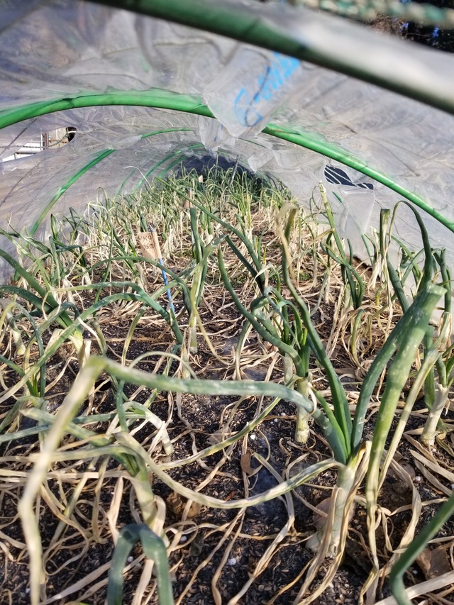 20230110_083427_copy_1512x2016