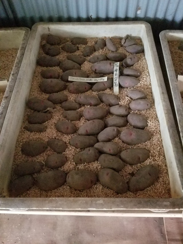 20200619_142412_copy_2268x3024