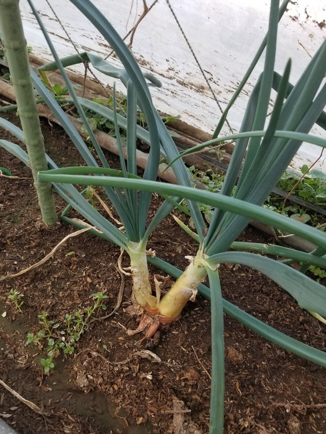 20240212_092306_copy_2268x3024