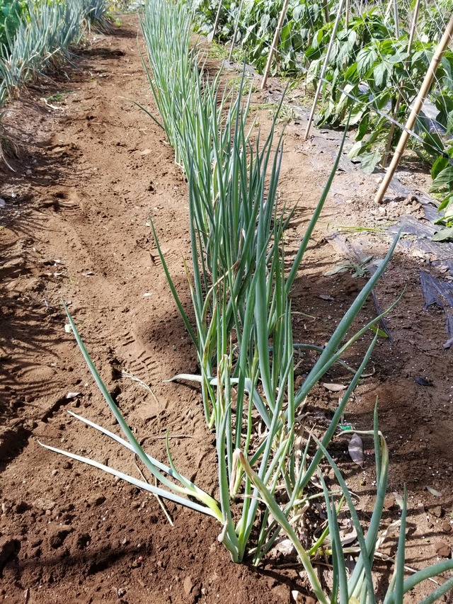 20210628_083423_copy_2268x3024