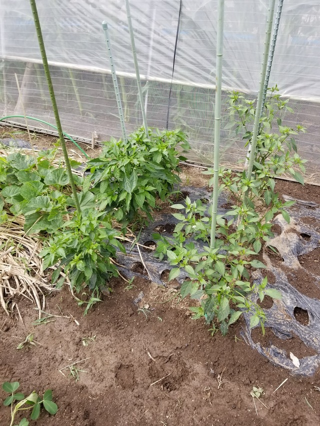 20230630_140827_copy_1512x2016