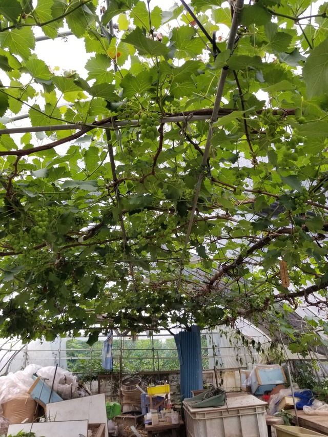 20210601_083159_copy_2268x3024