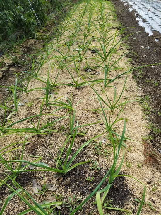 20191113_090620-1620x2160