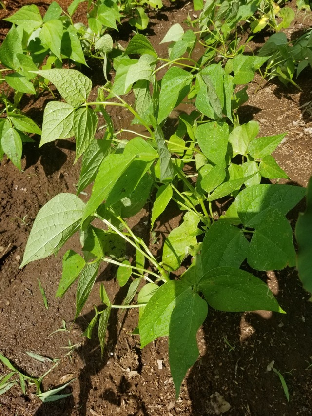 20230819_091000_copy_1512x2016