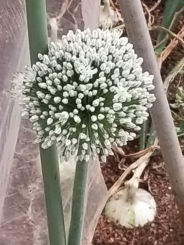 20230426_080111_copy_1512x2016