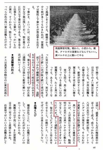 NOJI3