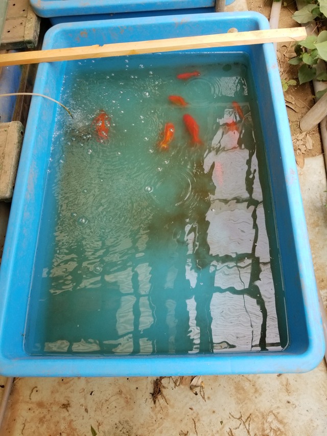 20230506_100907_copy_1512x2016