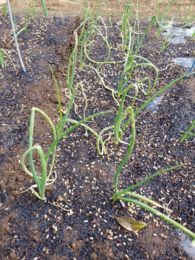 20221028_101927_copy_1512x2016