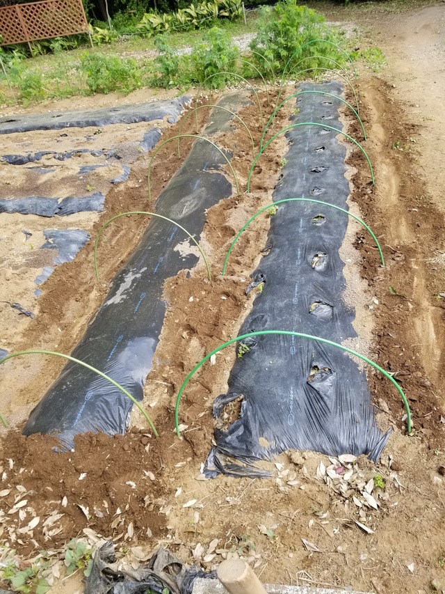 20230429_094417_copy_1512x2016