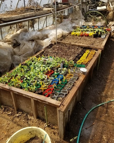 20190413_120605-1200x1600