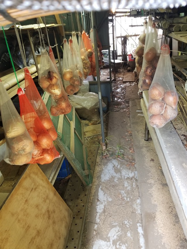 20230719_092906_copy_1512x2016