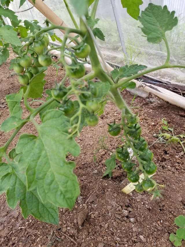 20210601_084211_copy_2268x3024