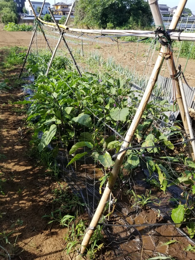 20220630_074708_copy_1512x2016