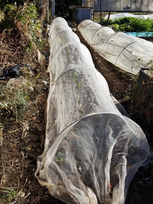 20231217_094751_copy_1512x2016