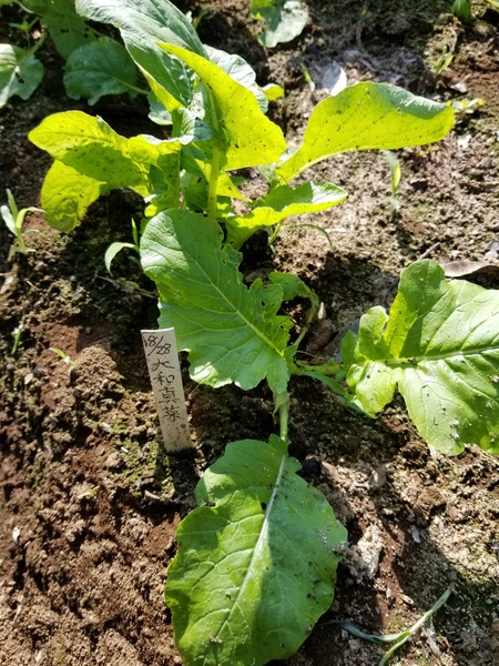 20190927_084149-1620x2160