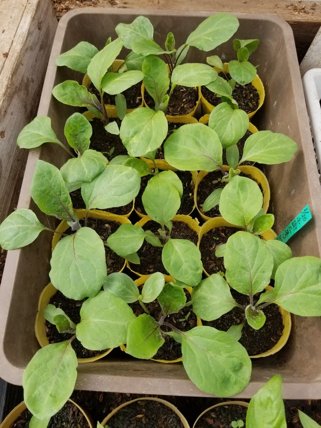 20230331_090544_copy_1512x2016