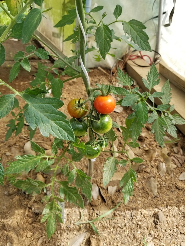 20210601_084451_copy_2268x3024