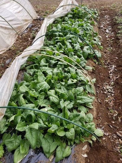 20200214_082013-2268x3024