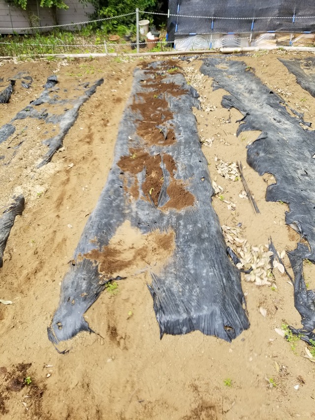 20230425_105225_copy_1512x2016