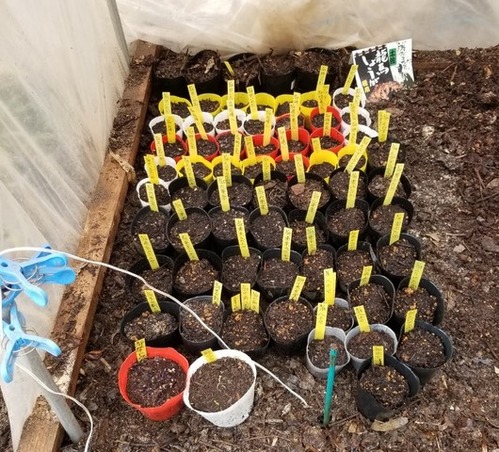 20190330_102638-1365x1024