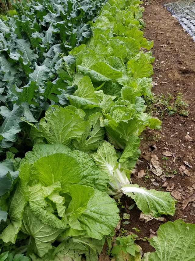 20211031_093807_copy_2268x3024