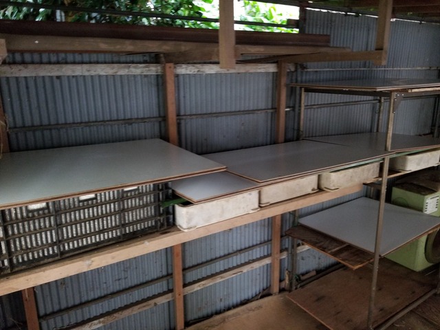 20200619_143324_copy_2268x1701