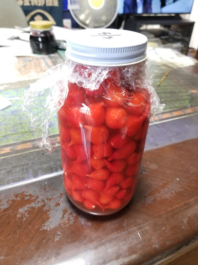 20220901_162605_copy_1512x2016_1