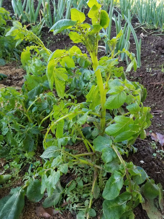 20191129_080637-1620x2160