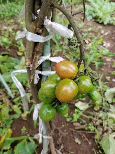 20190707_100759-1620x2160