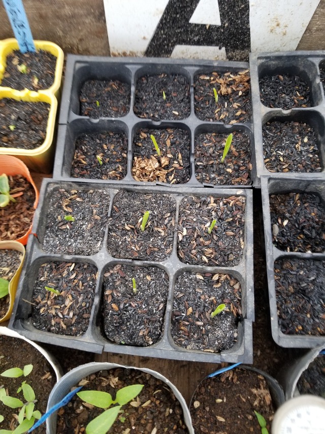 20240308_091902_copy_2268x3024