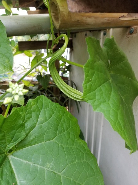 20190904_073411-1620x2160